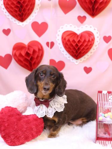 20240203ミロくん 